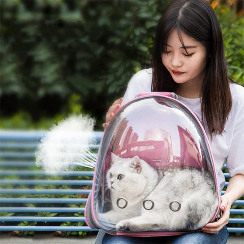 Mochila de Transporte Transparente para Gatos