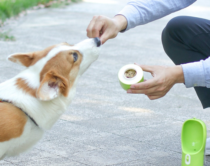 Garrafa Portátil para Pets