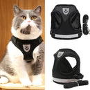 Peitoral Ajustável com Guia para Gatos