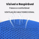 Peitoral Ajustável com Guia para Gatos