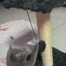 Arranhador Plataforma para Gatos