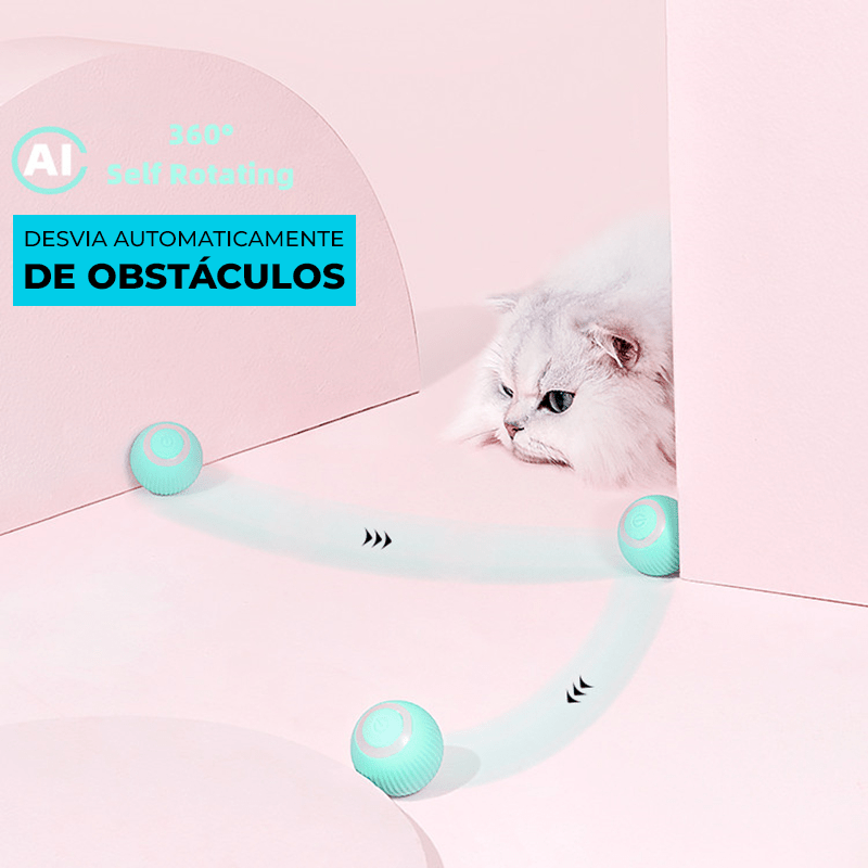 Brinquedo Bola Inteligente - O Rei do Gato