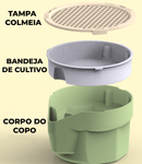 Pote de Grama para Gatos - O Rei do Gato